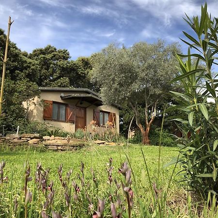 La Cerca Del Alcornoque Guest House Casas de Belvis Luaran gambar