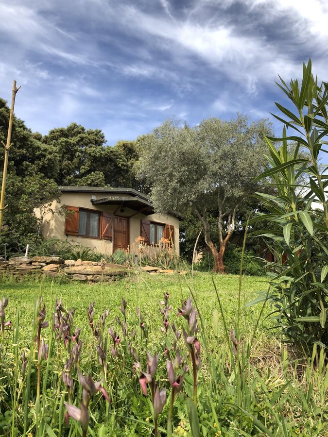 La Cerca Del Alcornoque Guest House Casas de Belvis Luaran gambar